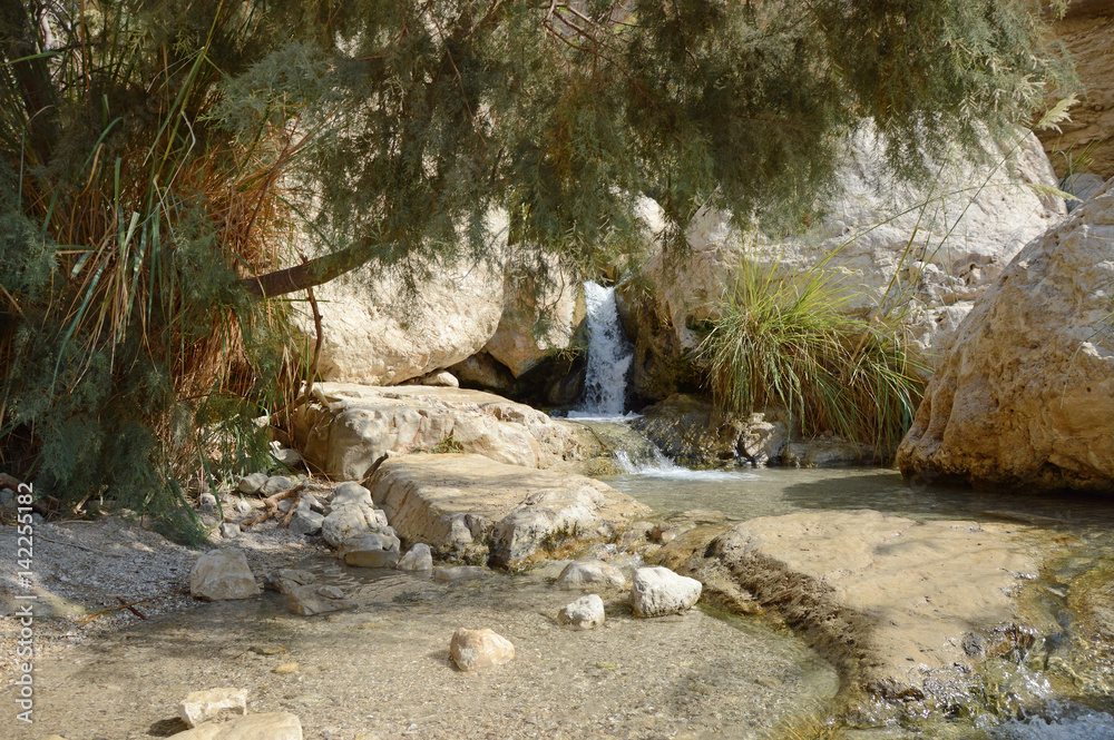 Obraz premium Waterfall in the rocks of Ein Gedi Dead Sea