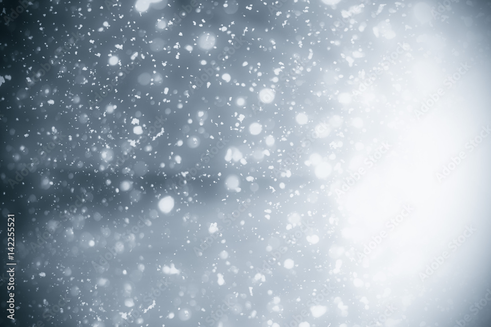 Fototapeta premium Abstract silver background with white particles. Round bokeh or glitter lights. Design template