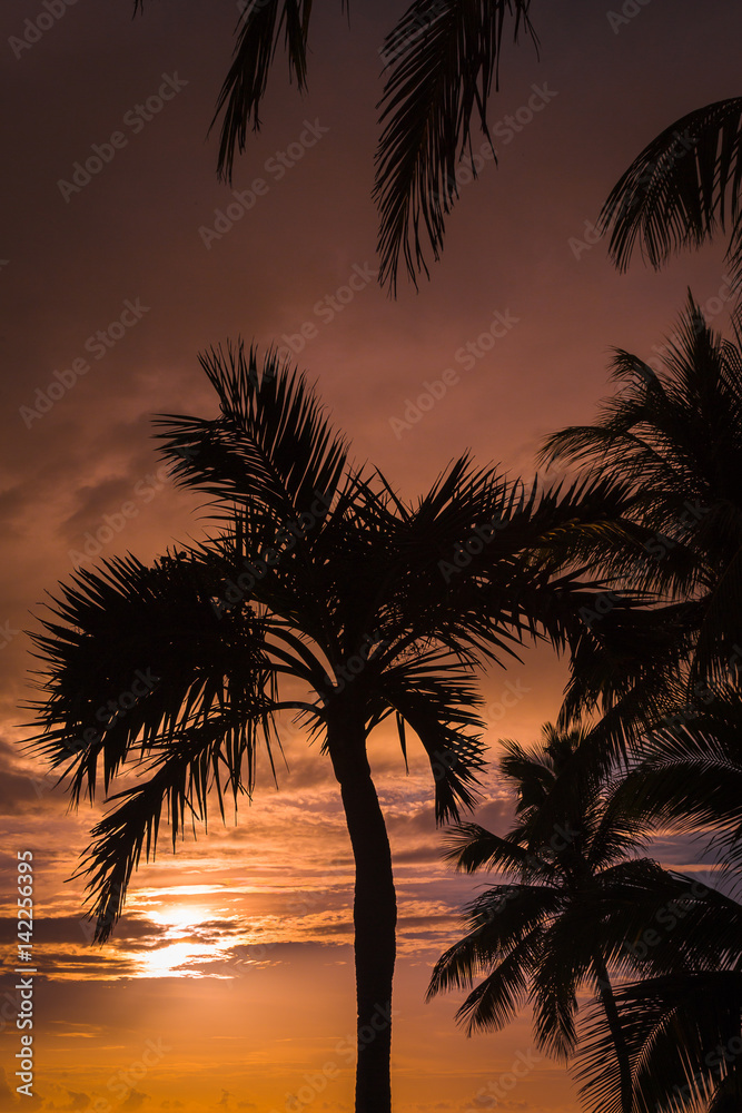 Dawn in Cayo Coco