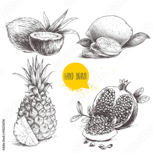 Hand drawn sketch style tropical fruits set isolated on white background. Slice of lemon with leaf, half of coconut, pineapple and pomegranates with seeds. Tropic food drawing.