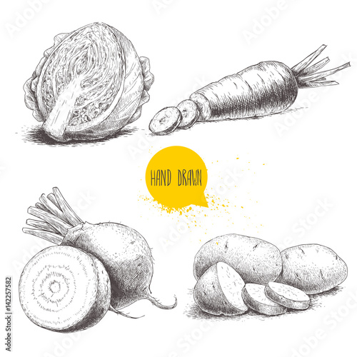 Hand drawn sketch style vegetables set. Half of cabbage, beet root, potatoes and sliced carrot. Farm fresh food isolated on white background.