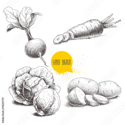 Obraz na płótnie Hand drawn sketch style vegetables set