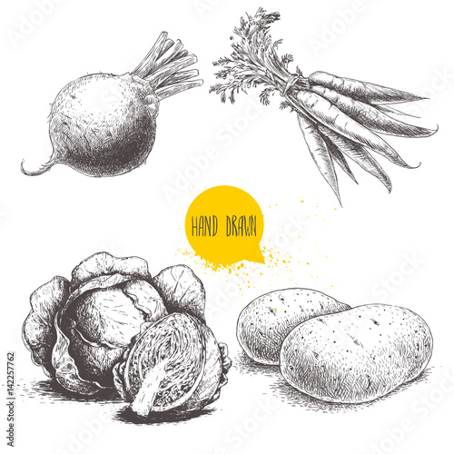 Hand drawn sketch style vegetables set. Cabbages, beet root with leafs, potatoes and bunch of carrots. Farm fresh food isolated on white background.