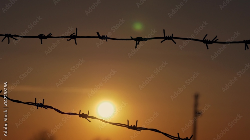 barbed wire prison sunset orange background