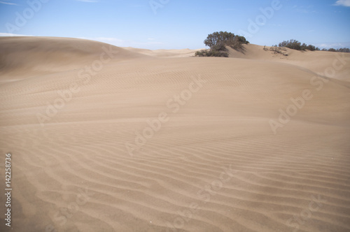 ARENA DE PLAYA DUNAS