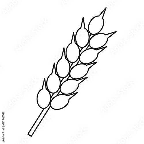Ear of wheat icon, outline style