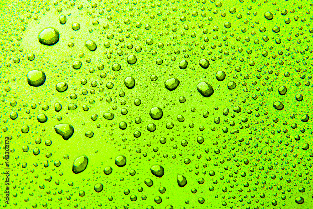 Drops of water on a color background. Green
