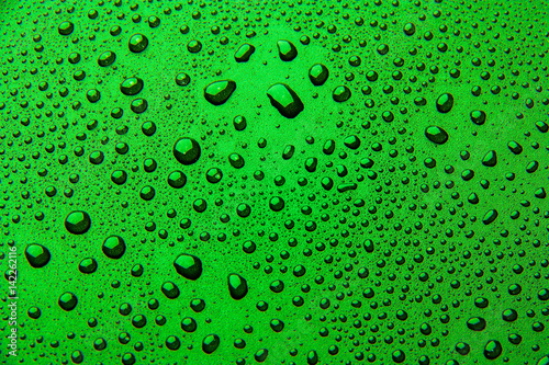 Drops of water on a color background. green