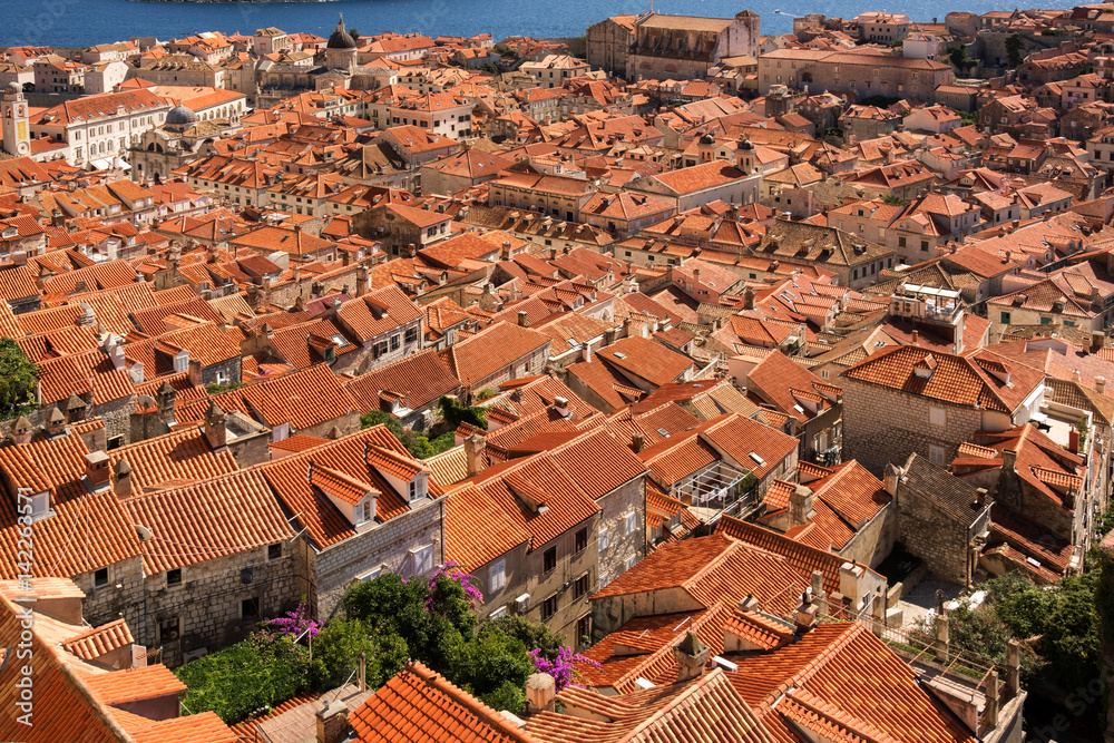 Rooftops of Old Town Dubrovnik 