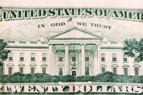 Twenty dollar bill back details.