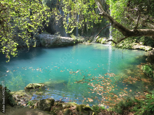 Autumn forest lake with Kursunlu waterfall, Turkey © olegs133