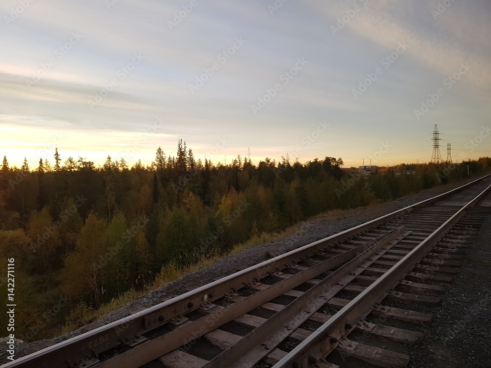 Naklejka premium Popędzać