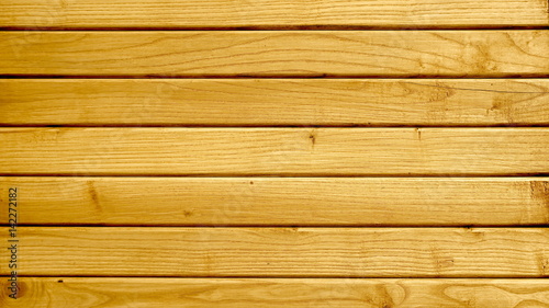  Wooden fence with ash tree. The texture of wood background     