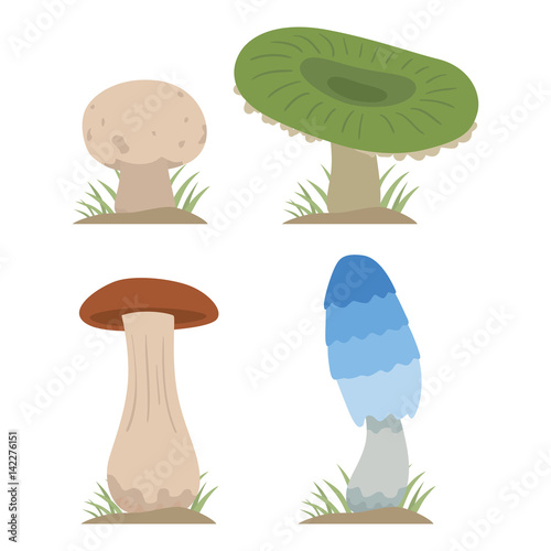 Mushrooms for cook food and poisonous nature meal vegetarian healthy autumn edible and fungus organic vegetable raw ingredient vector illustration.