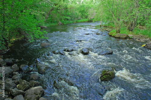 creek with rocks photo