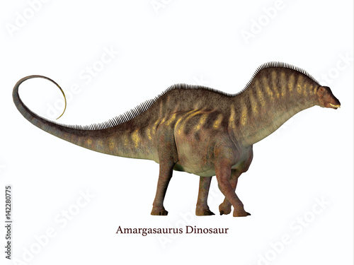 Amargasaurus Side Profile with Font - Amargasaurus was a herbivorous sauropod dinosaur that lived in Argentina in the Cretaceous Period. © Catmando