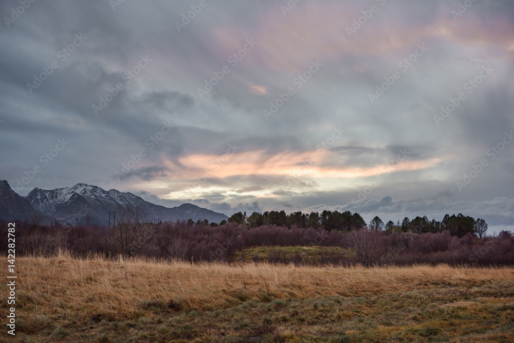 Grass field with trees and mountains on background with colorful cloudscape
