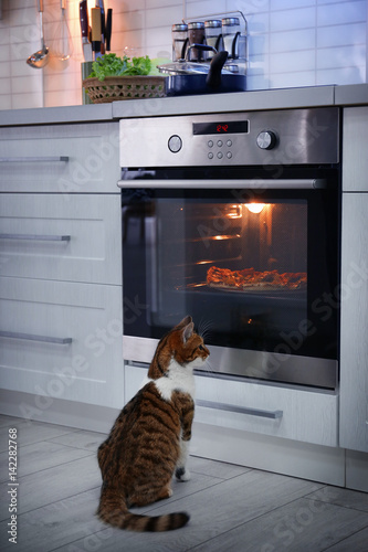 Fototapeta Naklejka Na Ścianę i Meble -  Cute cat looking at tasty pizza in oven