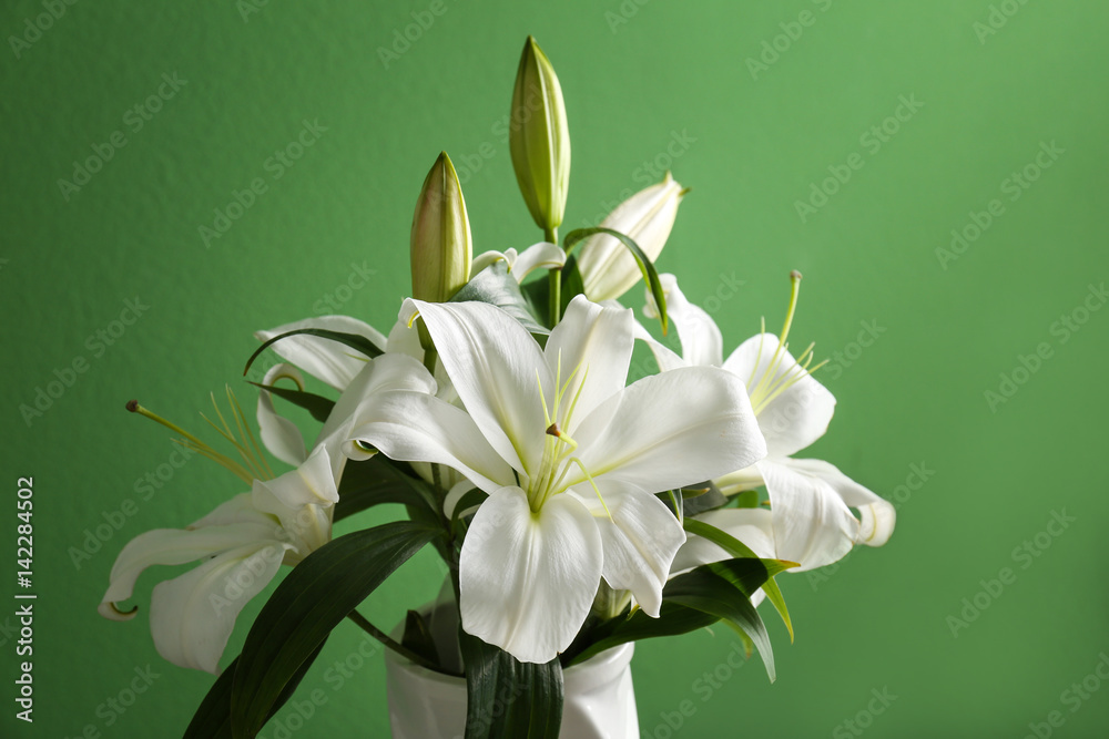 Naklejka premium Beautiful white lilies on color background