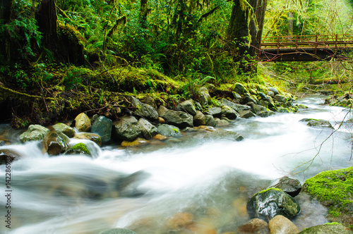 Mill Creek, California photo