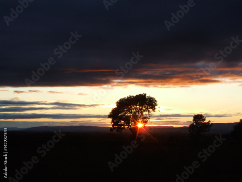 Beautiful sunset landscape with a tree and sun beams © JulietPhotography