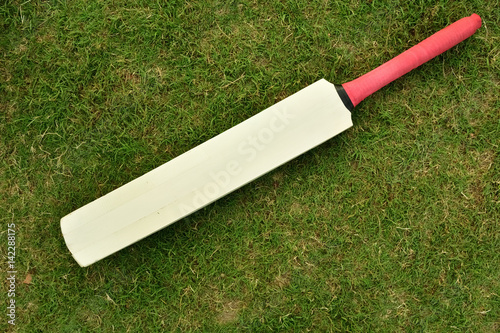 Cricket bat on green grass photo