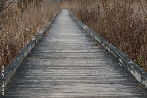 Path