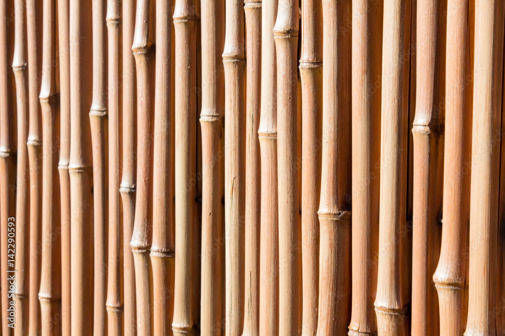Fototapeta premium Bamboo stalks being used as a privacy fence with selective focus