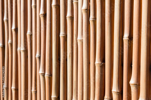 Bamboo stalks being used as a privacy fence with selective focus