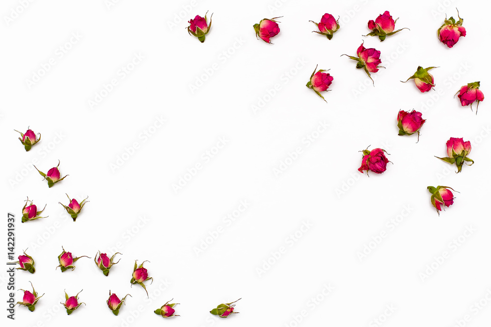 Fototapeta frame for text from dried flowers of rose on white background.