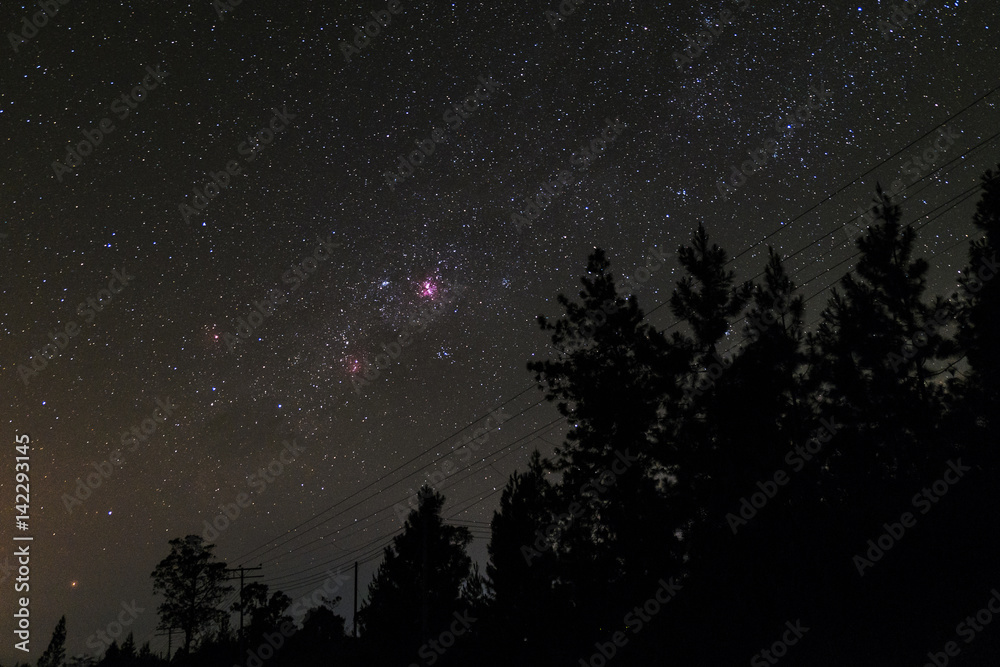 By the base of Mount Kinabalu, pine trees and reddish nebuale of Eta Carina is visible to your eyes. Long exposure photograph, with grain. Image contain certain grain or noise and soft focus.
