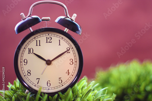 Alarm clock in green grass with copy space