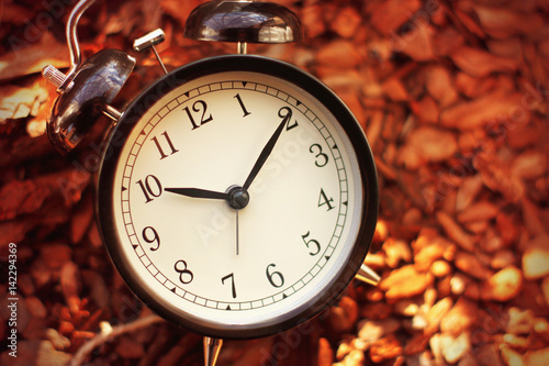 Old fashioned alarm clock on autumn orange leafs background - time concept