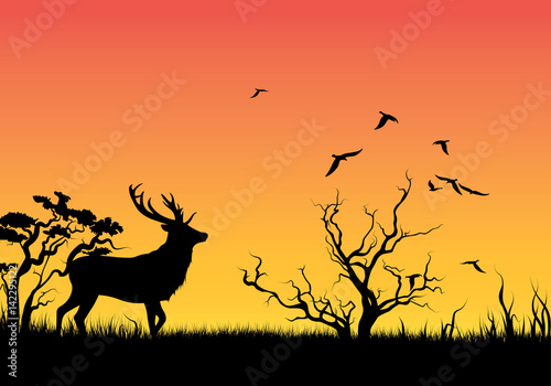 Silhouette of an animal