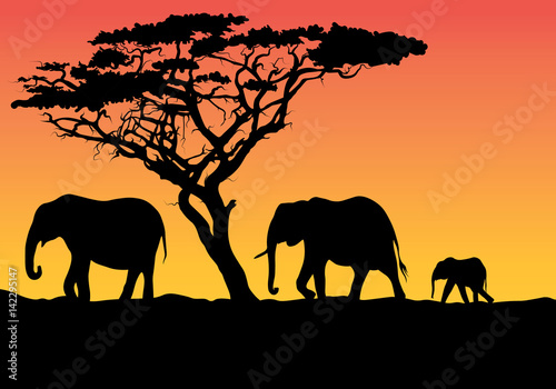 Silhouette of an animal