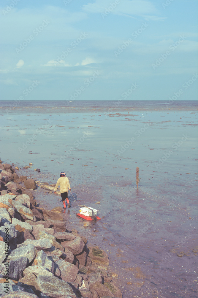 local fisherman finding the shell in the sea during sunrise. local fisherman finding the shell in the sea during sunrise.