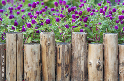 Wooden fence in Garden