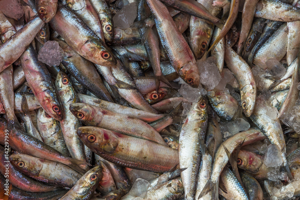 Seafood fish for sell stored in the box from Chapora fish market in India Seafood fish for sell stored in the box from Chapora fish market in India