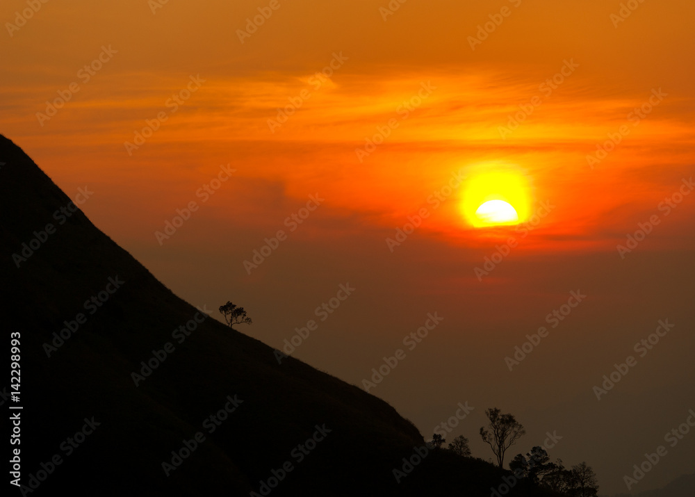 Sunset in mountains,Tree silhouette with scenic sunset sun over colorful sky background.