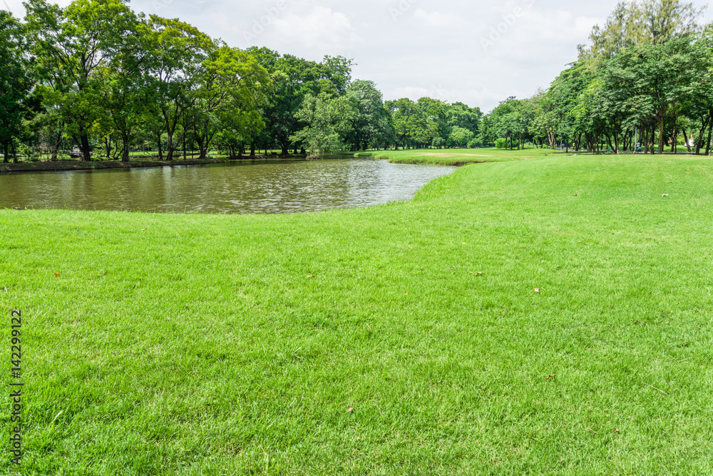 Obraz premium Beautiful Public green park at Vachirabenjatas Park (Rot Fai Park) Bangkok, Thailand