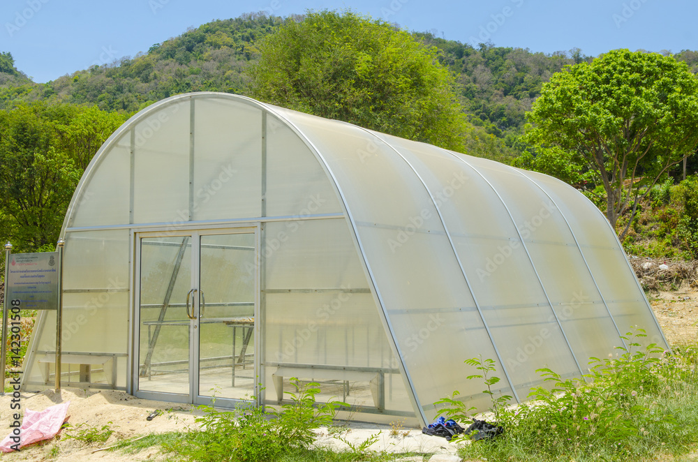 greenhouse in the nature park outdoor with blue sky greenhouse in the nature park outdoor with blue sky