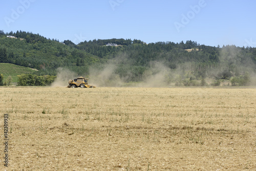 Oregon Grown Rye Grass Harvest in the Willamette Valley, Marion County photo