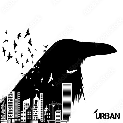 Isolated raven head silhouettes with double exposure effect. Urban city as background.