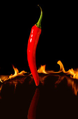 Papier peint photo Piments forts Piment rouge brûlant flamme vive  © Suchart