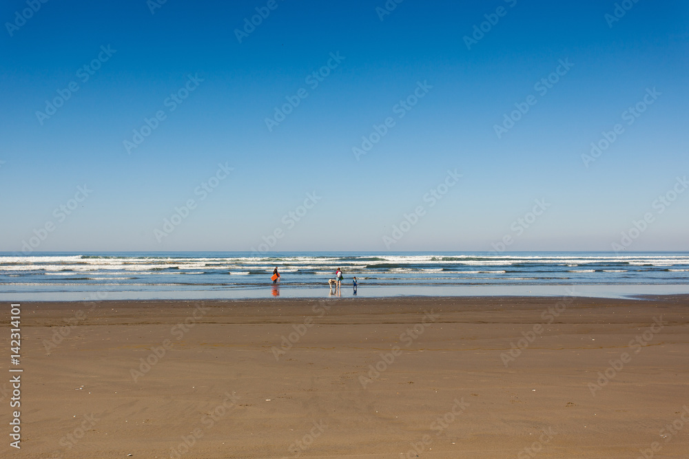 Children play on the beach on a clear day