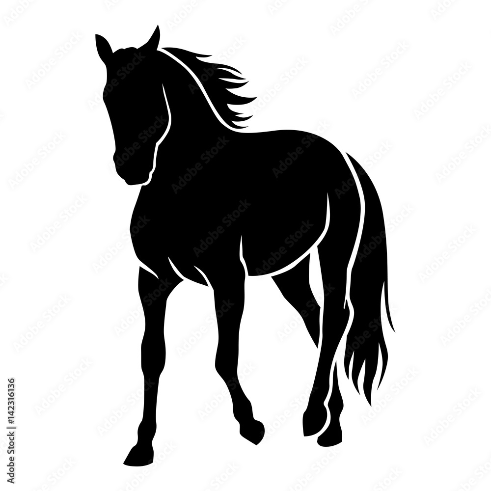 Horse silhouette