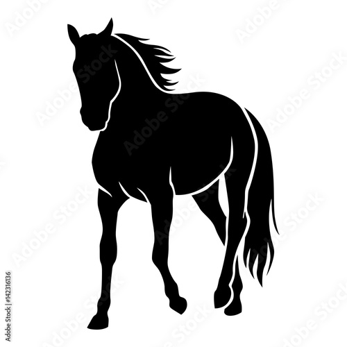 Wallpaper Mural Horse silhouette Torontodigital.ca