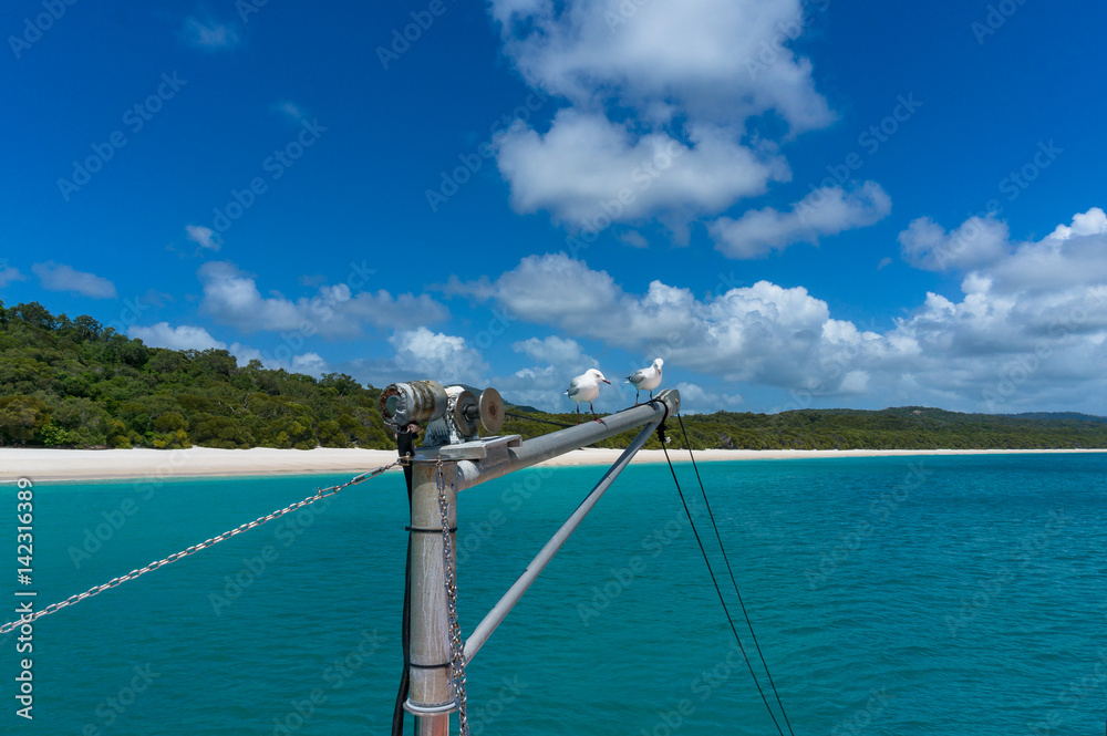 Yachts mast with seagulls and beautiful tropical beach on background