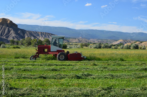 Swather cutting grass hay photo