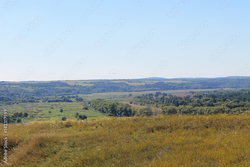 Summer landscape with meadow, trees and hills